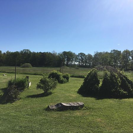 Liten Stuga Mitt I Naturen Pa Kinnekulle Hällekis Dış mekan fotoğraf